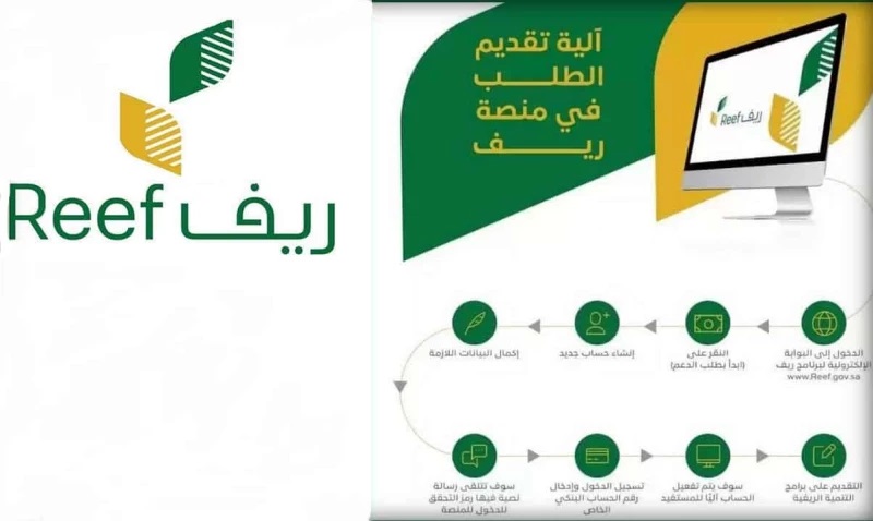 كيف يؤثر دعم ريف يؤثر على الضمان الاجتماعي بالمملكة؟