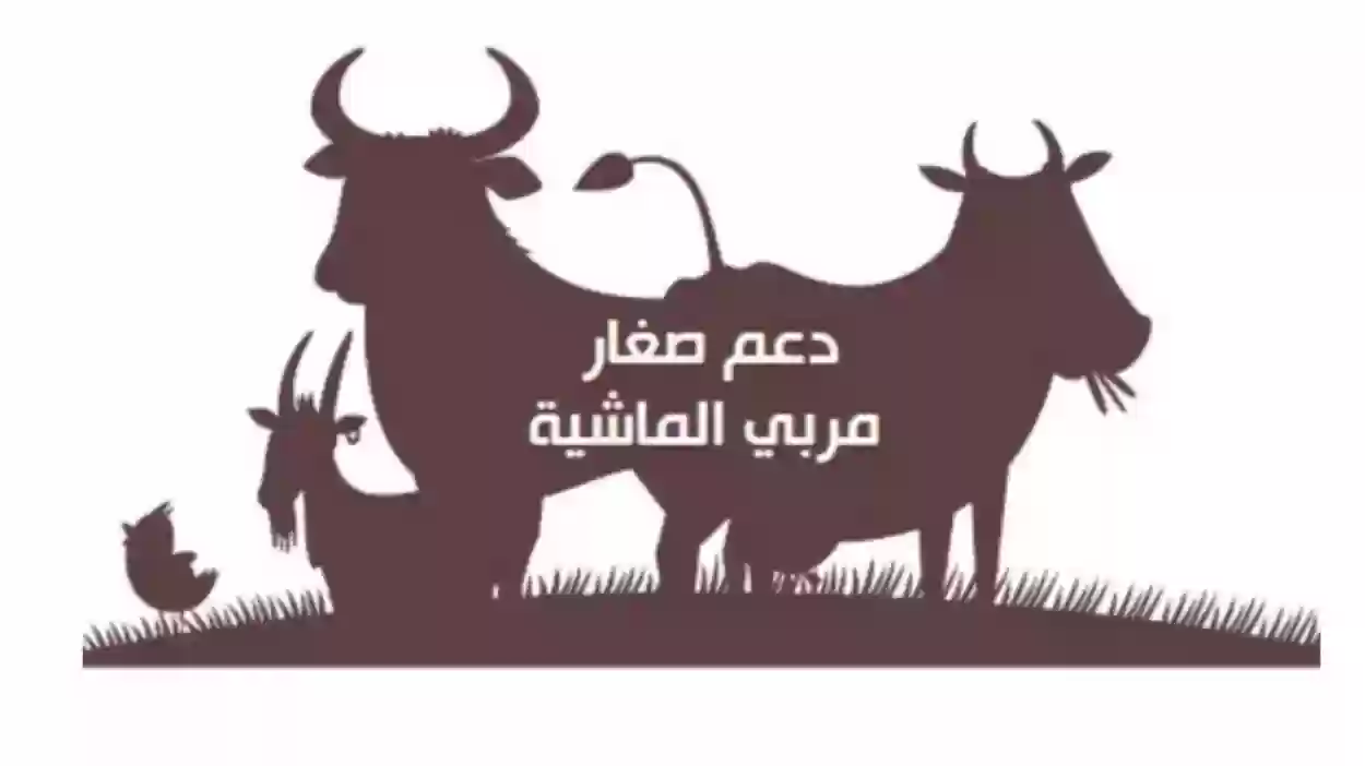 شروط استحقاق دعم المواشي