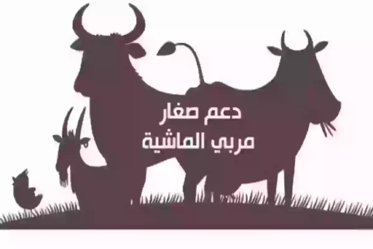 دعم المواشي 