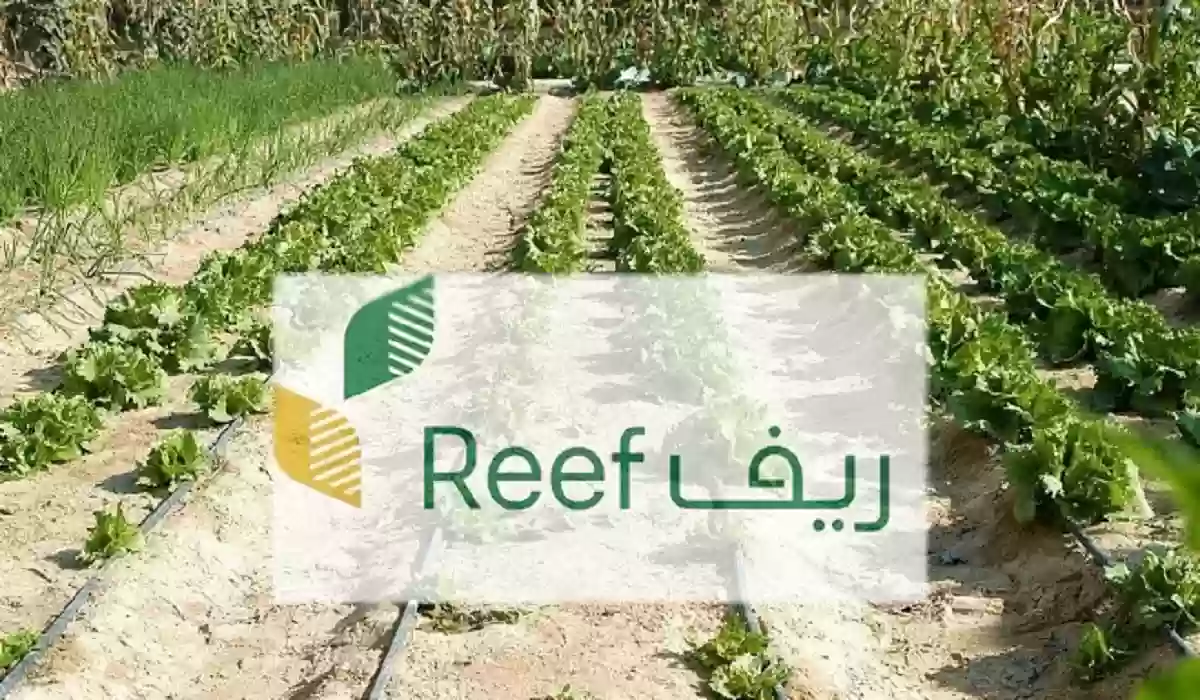 الشروط المطلوبة للتسجيل في ادعم ريف للأسر المنتجة