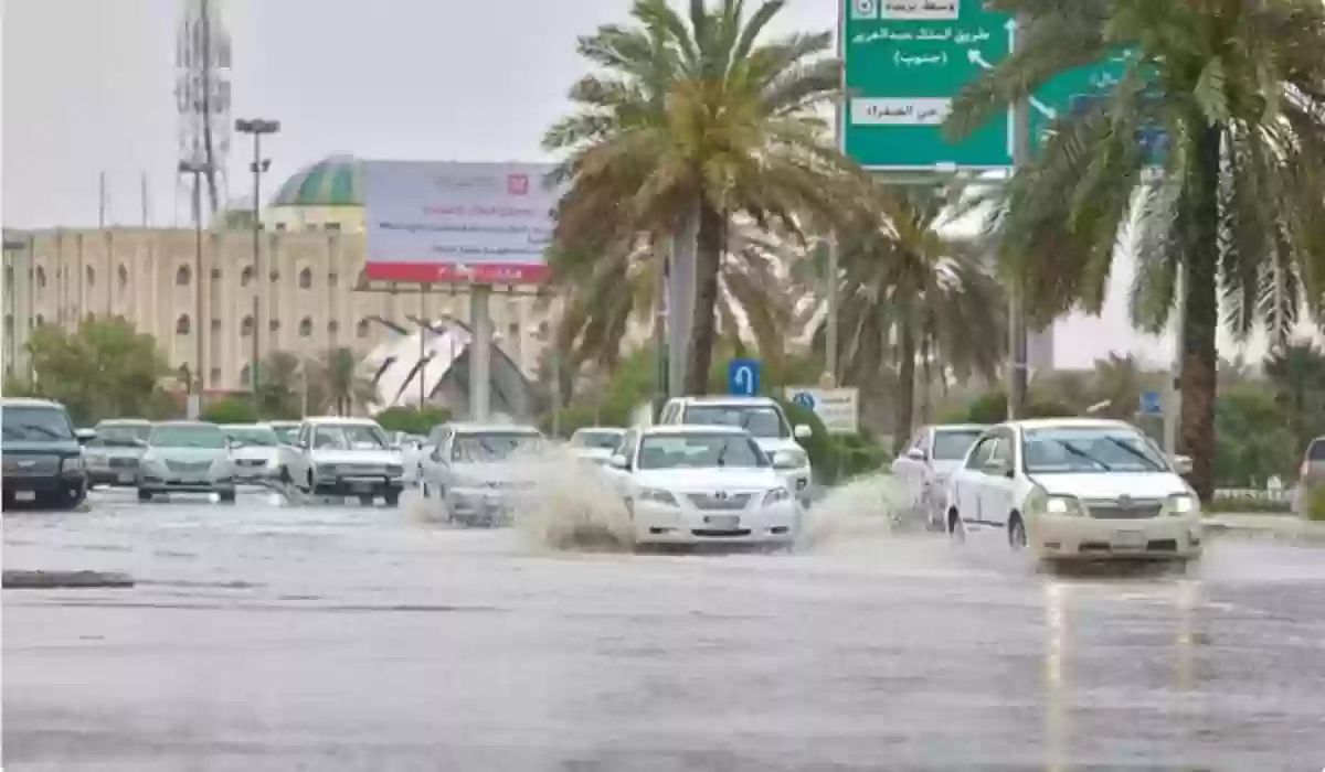 الالتزام بإرشادات السلامة أثناء التنزه 