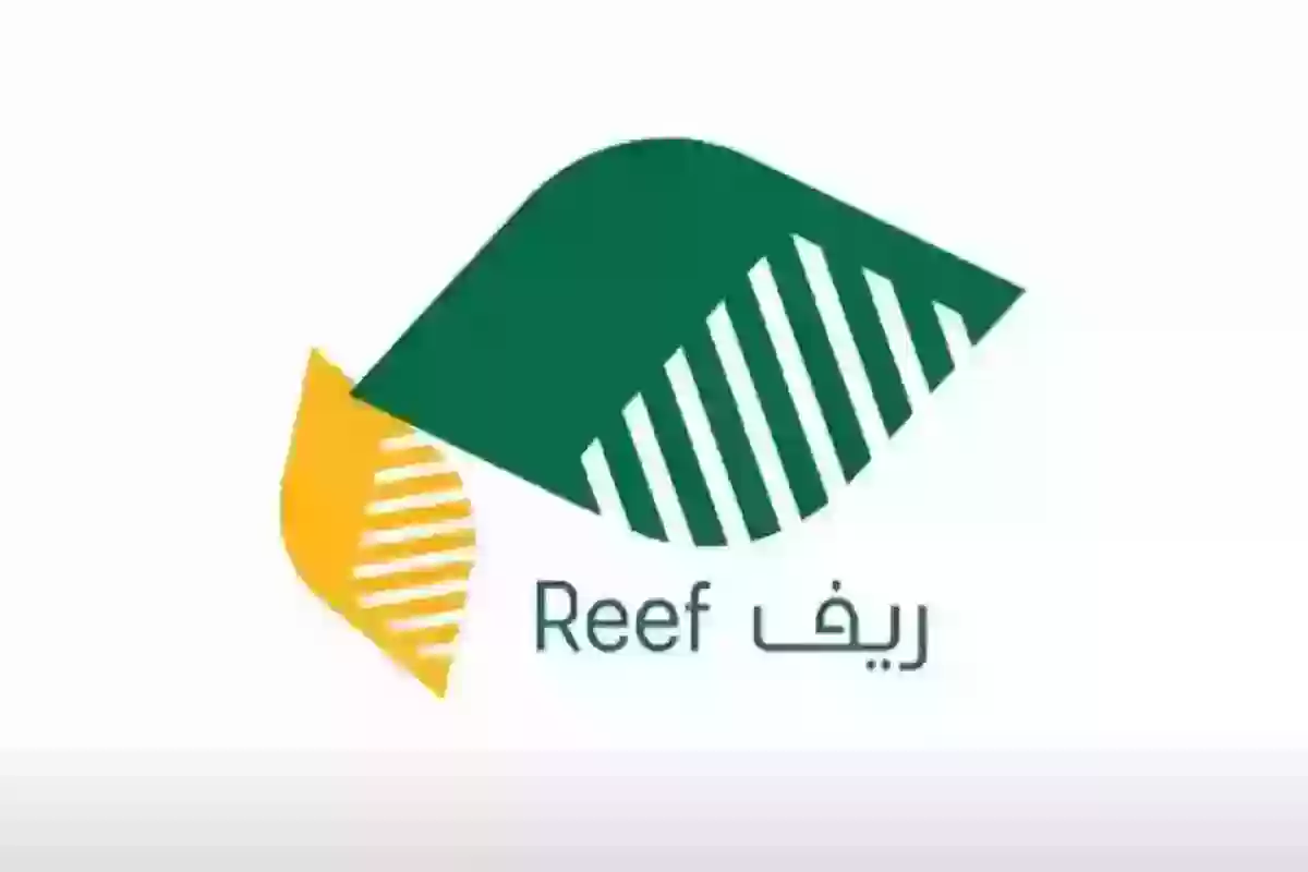 الدعم الريفي لربات البيوت