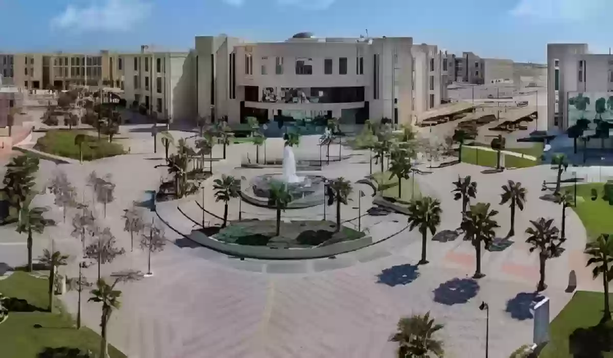 الجامعات الأهلية